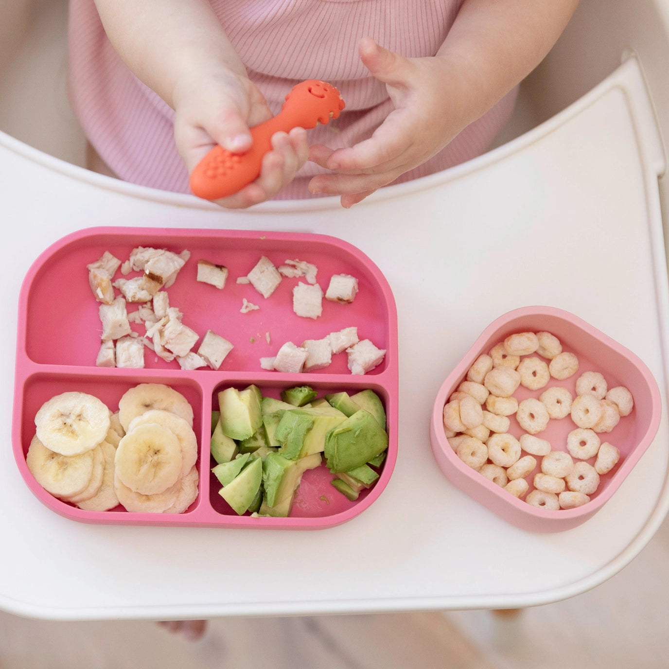 LEARN TO EAT BEGINNER BUNDLE