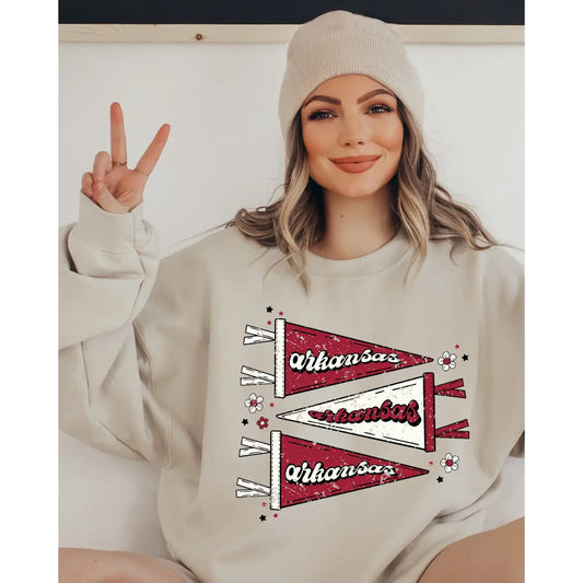 ARKANSAS PENNANT DISTRESSED SWEATSHIRT