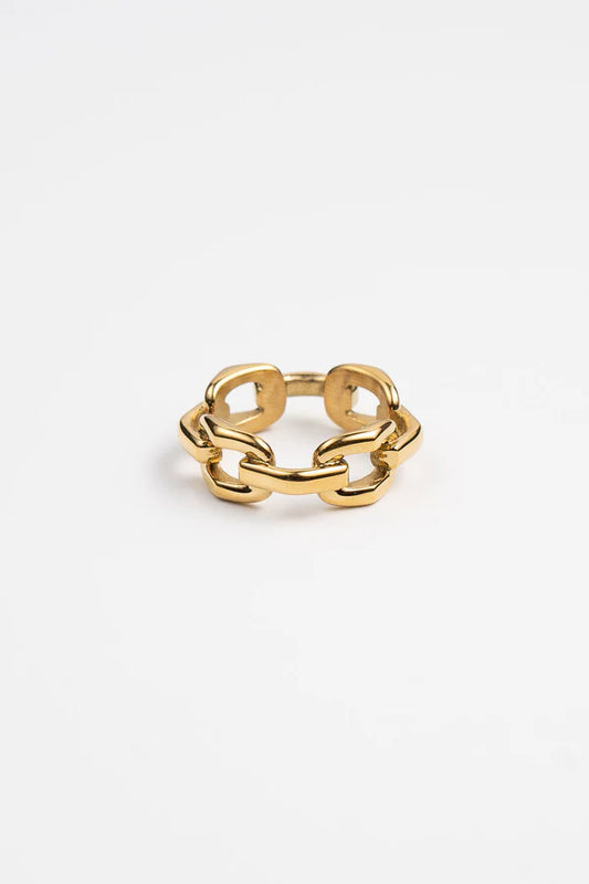 BIG CHAIN RING - SIZE 7